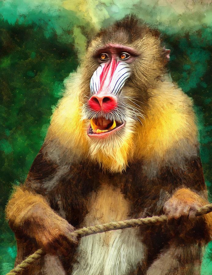 Red Face Baboon Painting by Ian Kydd Miller - Fine Art America