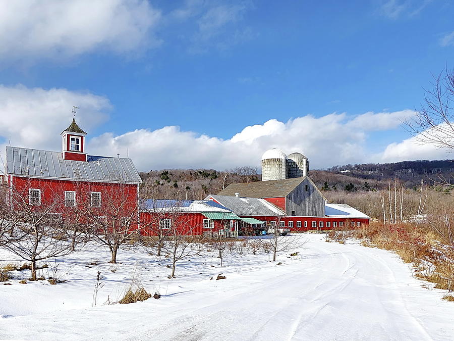 Red Farm near Cambridge, Vermont Photograph by Lyuba Filatova