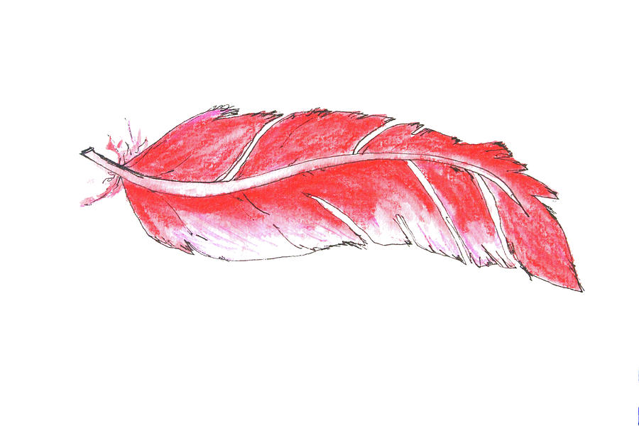 Red Feather Painting by Nancy Merkle
