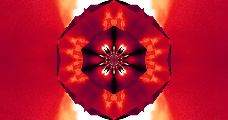 Red Fire Flower 5 Digital Art by Sherrie Larch - Fine Art America