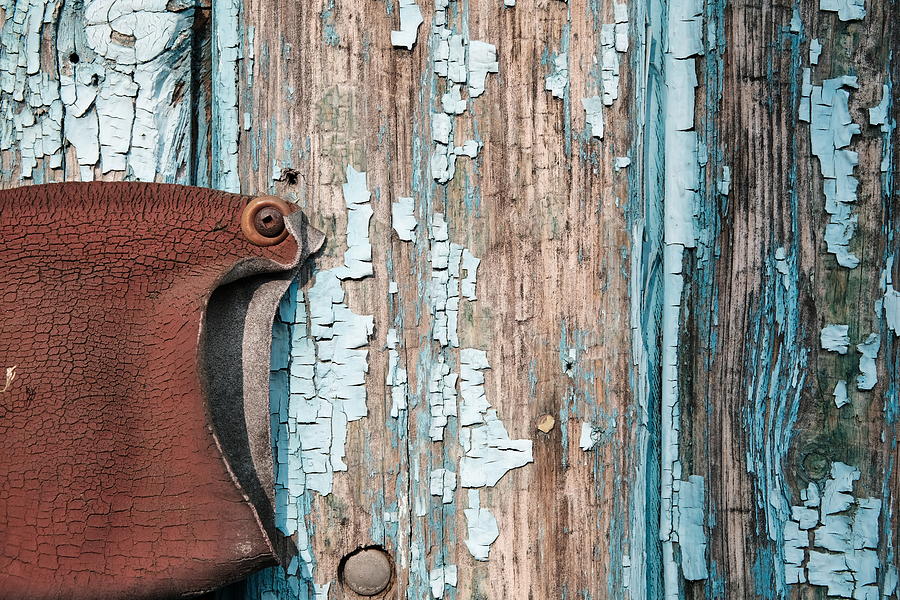 Red Fish Gobble You Up Photograph by Kreddible Trout