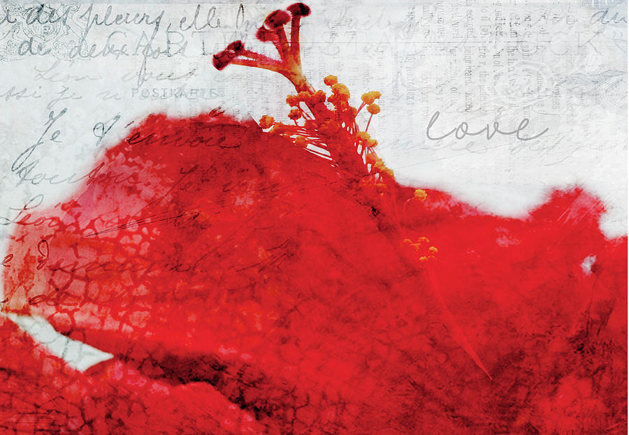 Red Flower of Love Digital Art by Moira Law