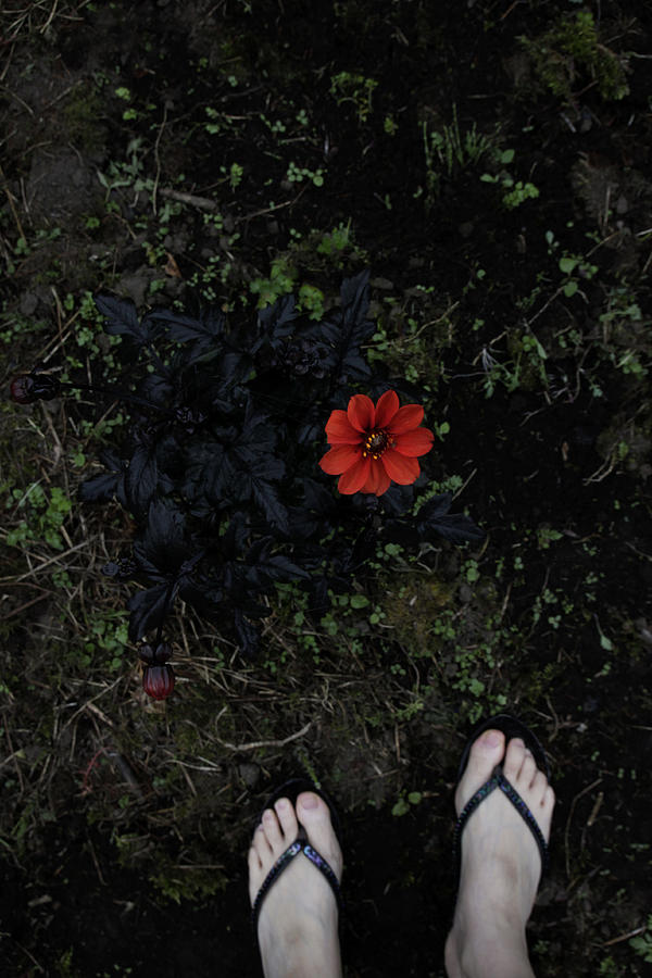 Red flower with women Photograph by quiLie Red flower with women Photograph by quiLie