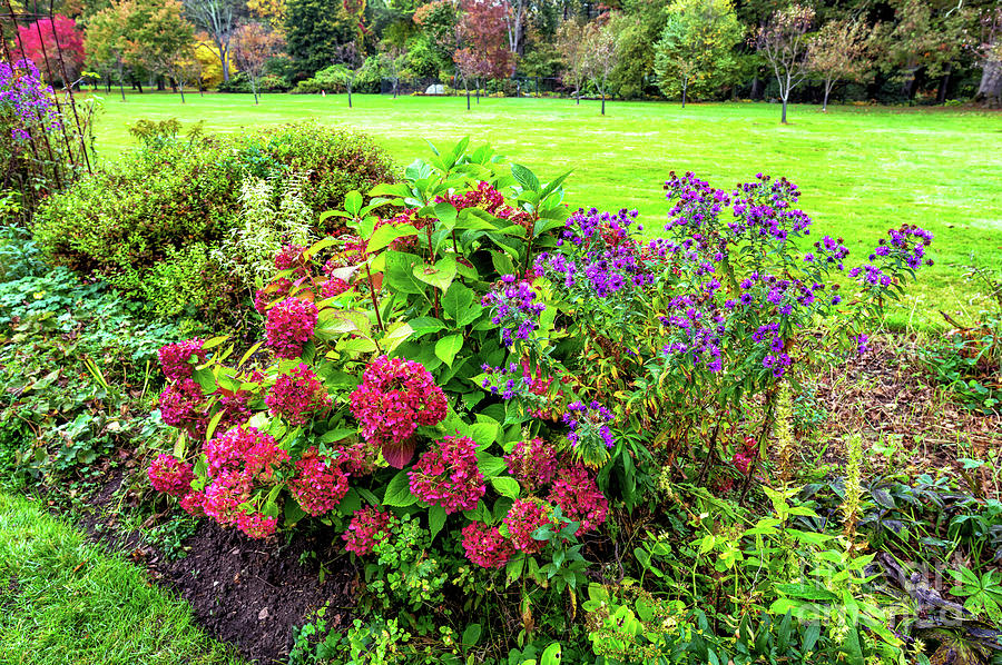 Red Flowers At The New Jersey Botanical Gardens Photograph By John