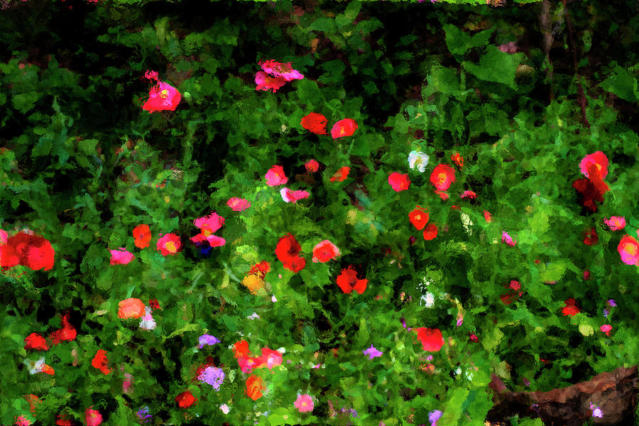 Red flowers in a garden artistic    paintography Photograph by Dan Friend