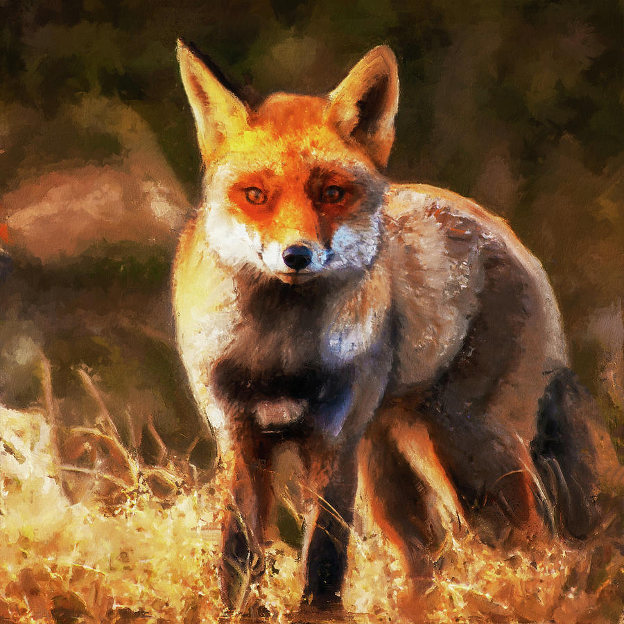 Red Fox - 02 Painting by AM FineArtPrints