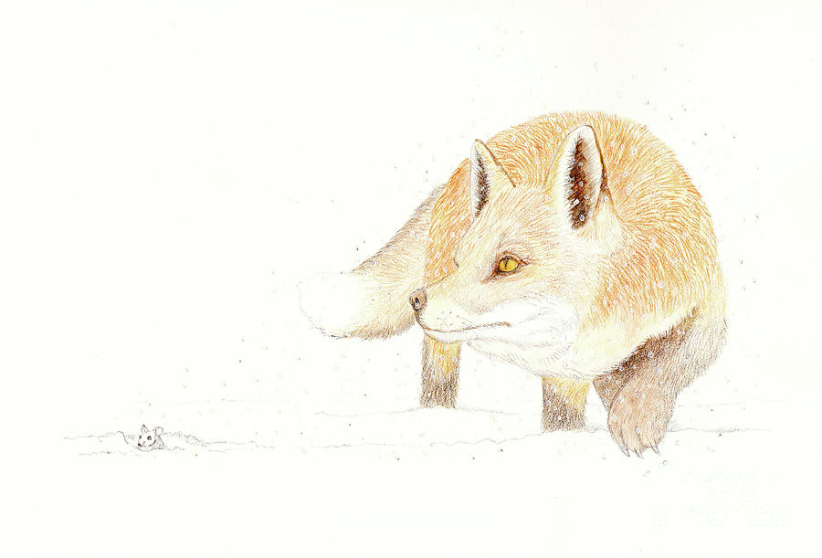 Red Fox and Wood Mouse Painting by Gordon Palmer