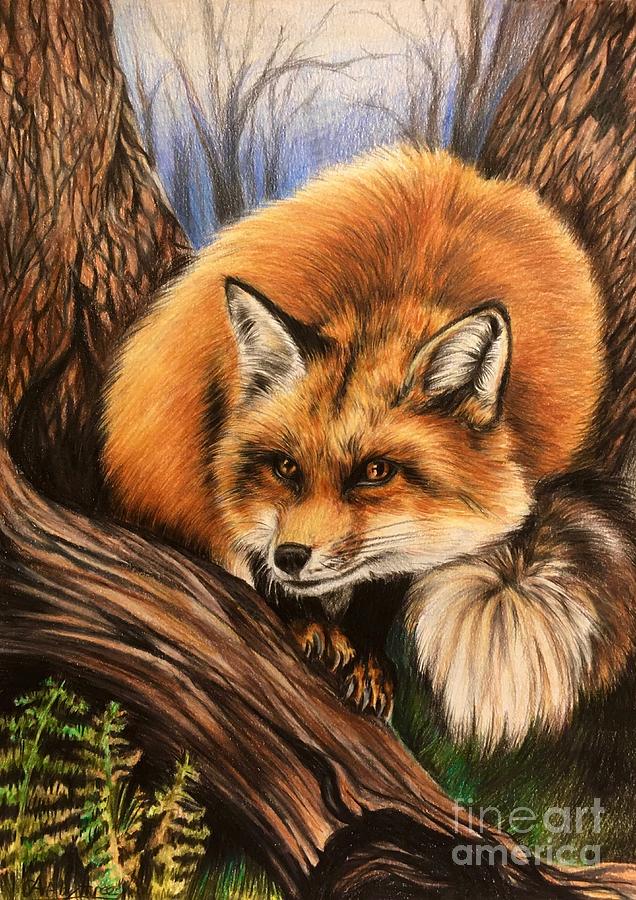 Wildlife Drawing - Red Fox by Art By Three Sarah Rebekah Rachel White
