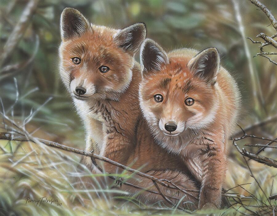 Red Fox Cubs Painting by Parry Johnson - Fine Art America