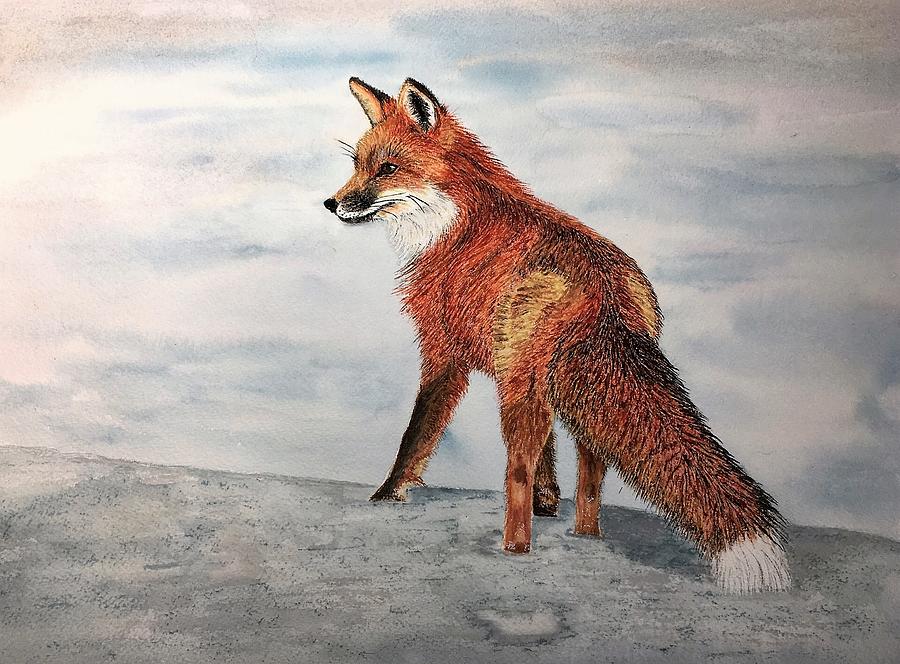 Red Fox Painting By Erica Potts - Fine Art America