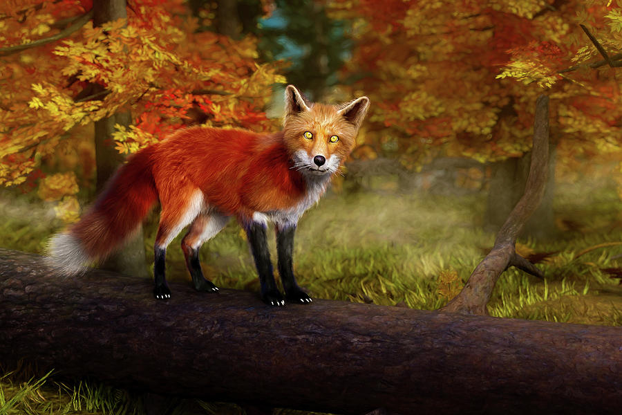 Red Fox Digital Art by Ian Good