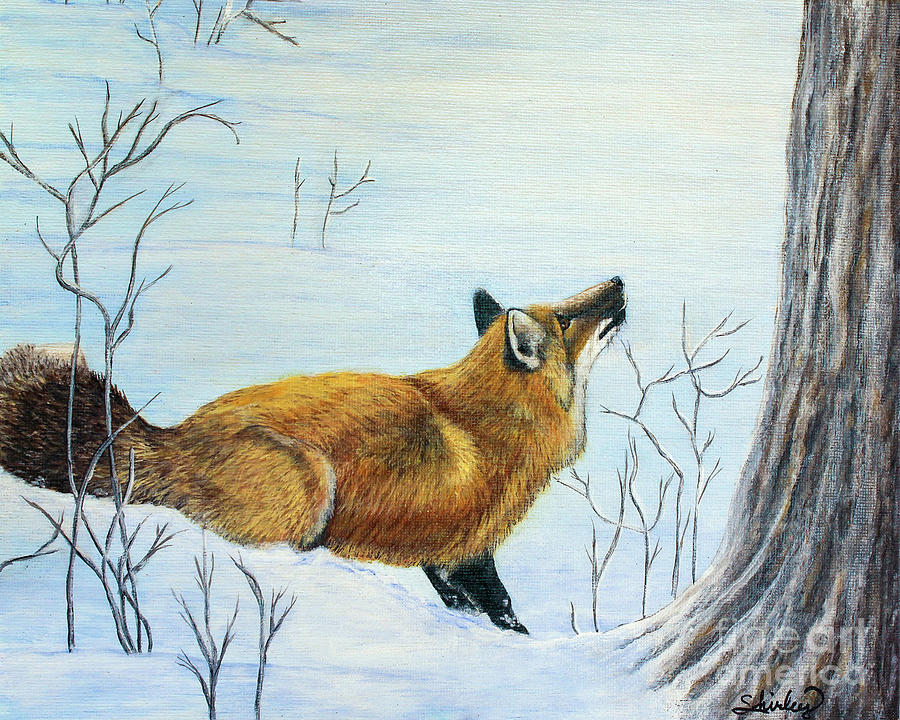 Red Fox in the Snow Painting by Shirley Dutchkowski