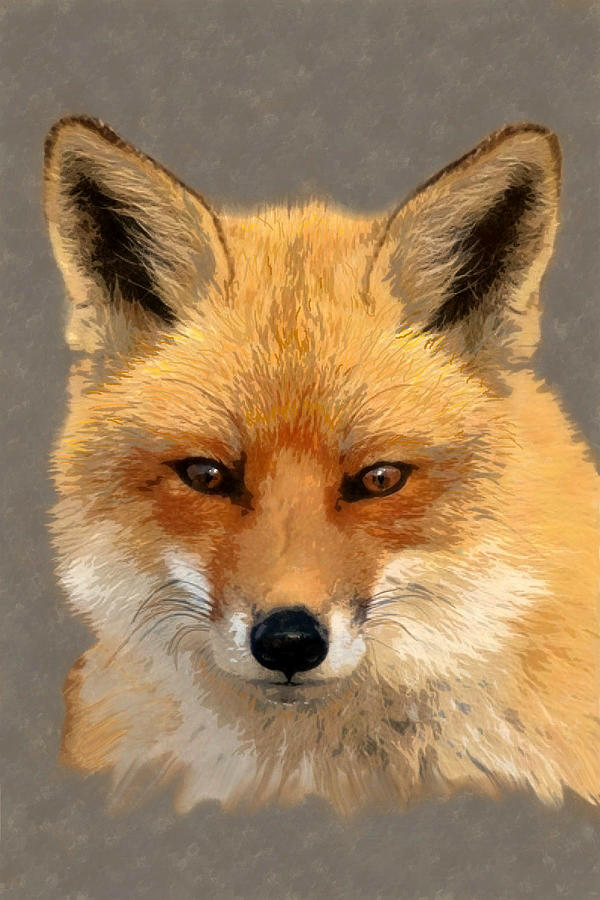 Red Fox Mixed Media by Judy Link Cuddehe