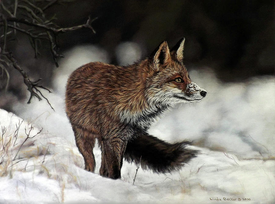 Red Fox Painting by Linda Becker