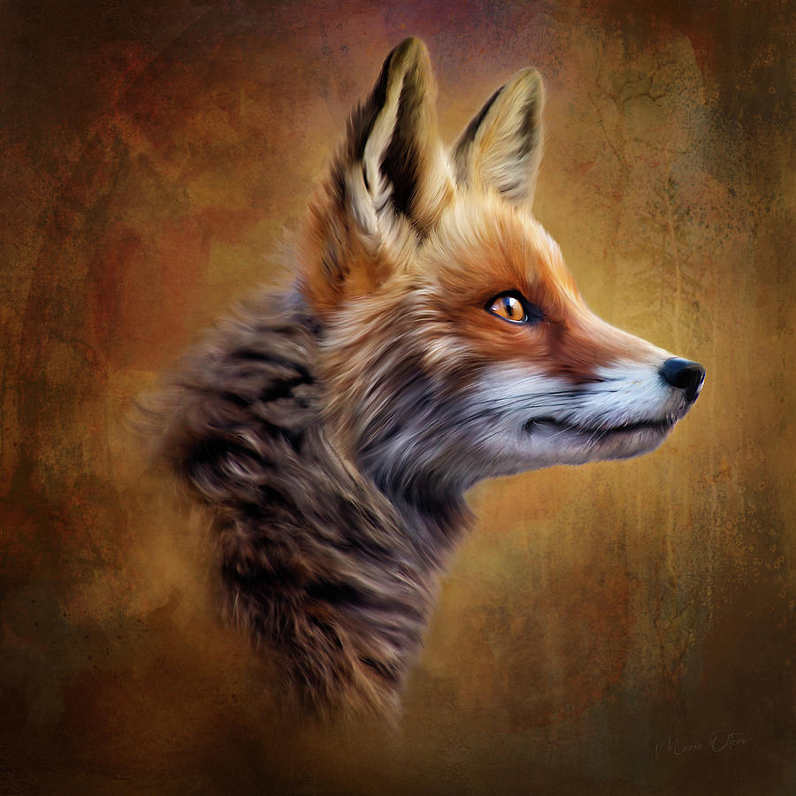 Red Fox Digital Art by Marie Otero - Fine Art America