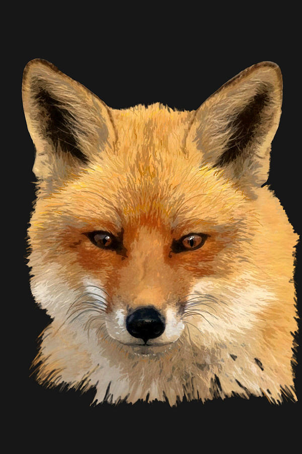 Red Fox Portrait Sans Background Painting by Judy Cuddehe