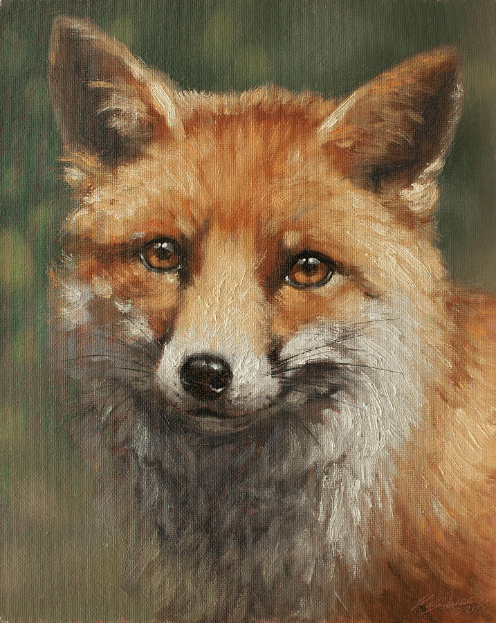 Red Fox portrait W592 Painting by John Silver