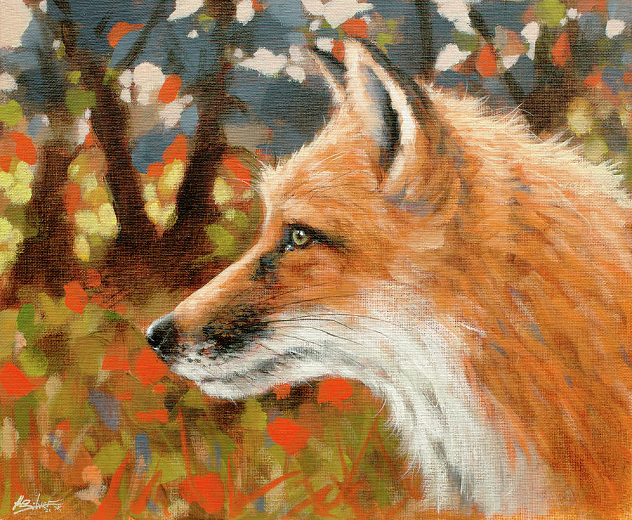Red Fox portrait W721 Painting by John Silver