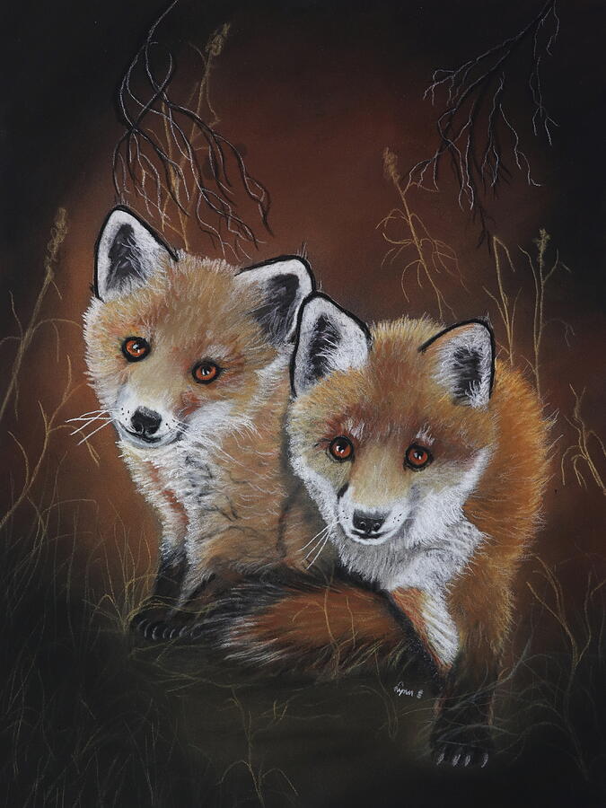 Red Fox Pups Pastel by Dreamz - - Fine Art America