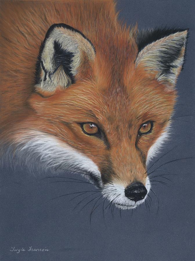 Red Fox Pastel by Twyla Francois