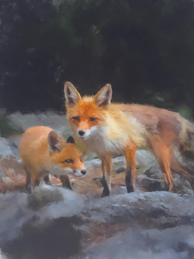 Red Foxes Painting by Gary Arnold