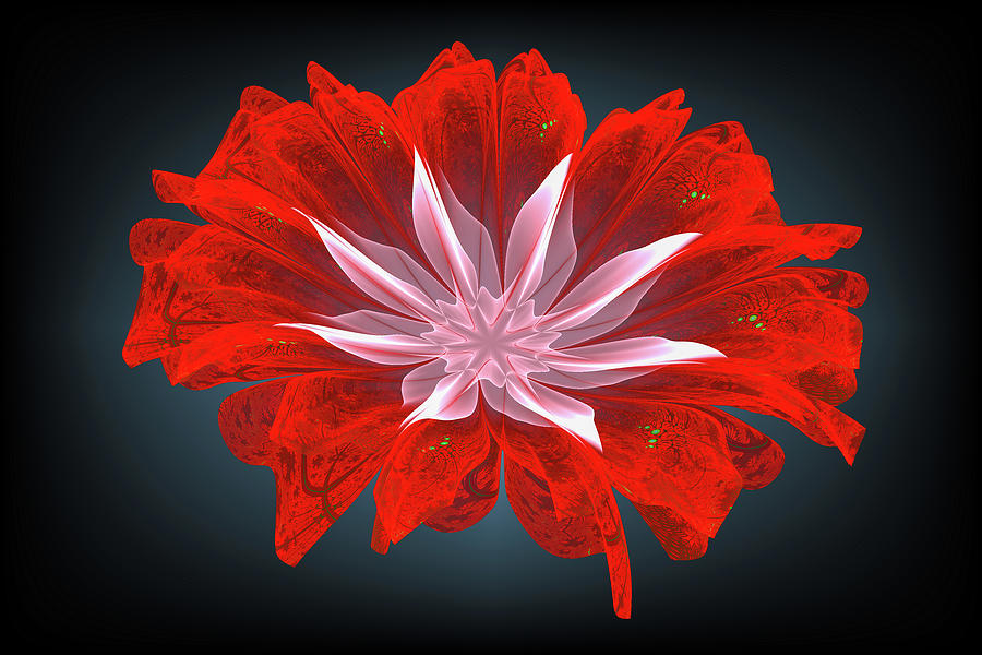 Red Fractal Flower on Black Digital Art by Matthias Hauser