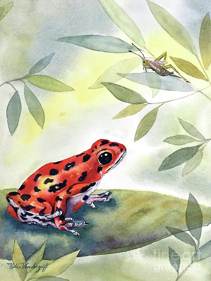Cricket Painting - Red Frog and Cricket by Hilda Vandergriff