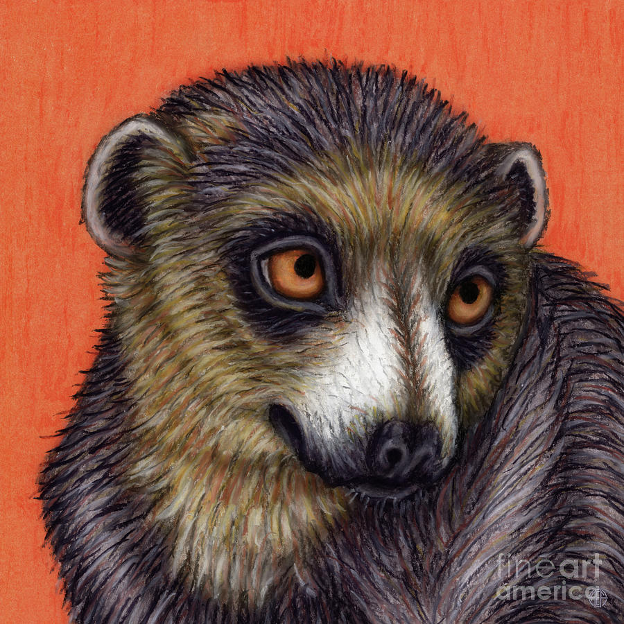 Red Fronted Brown Lemur  Painting by Amy E Fraser