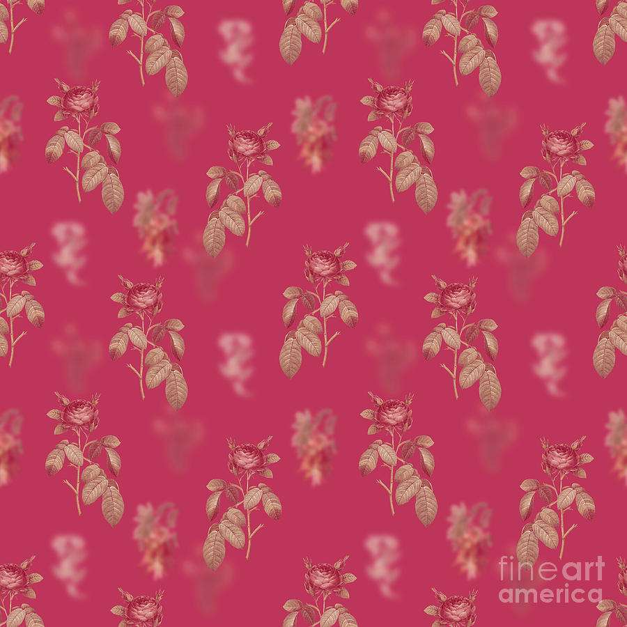 Red Gallic Rose Botanical Seamless Pattern in Viva Magenta n.1012 Mixed Media by Holy Rock Design