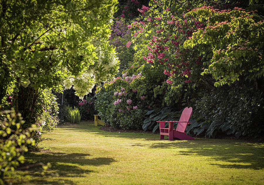 Red Garden Chair Photograph by Jean Noren