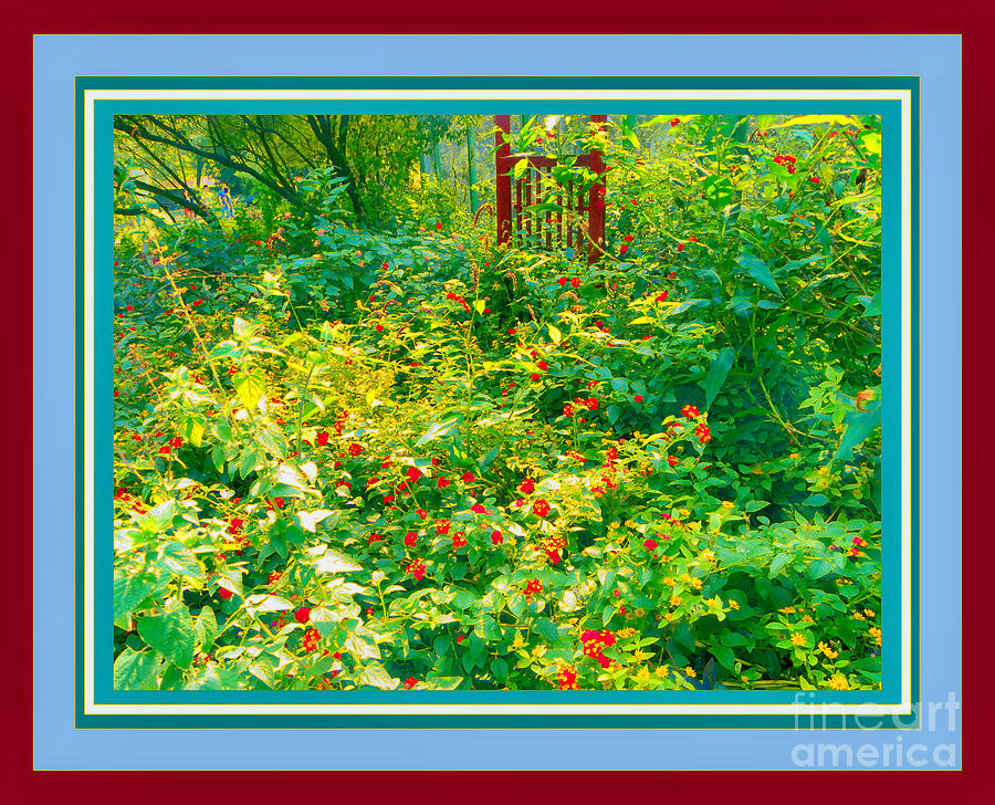 Red Garden Gate Photograph by Shirley Moravec