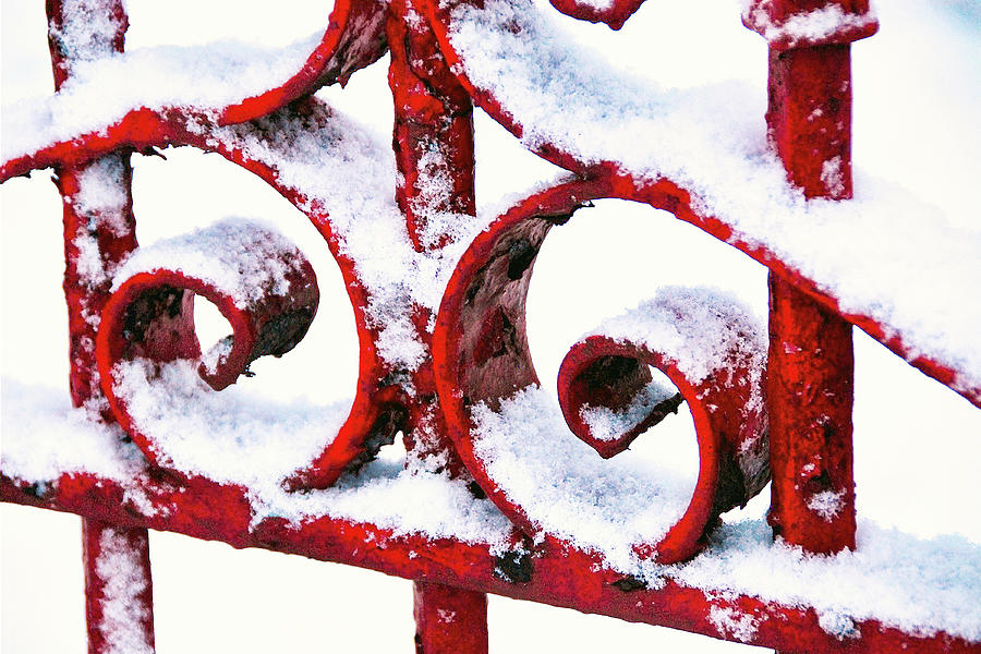 Red Gate in the Snow Photograph by Rebecca Higgins