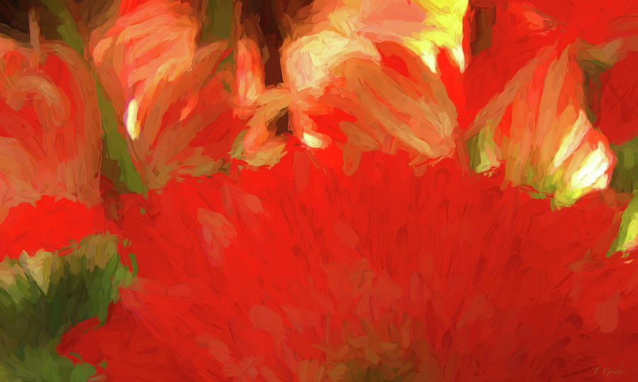 Flower Digital Art - Red Gerbera Petals Abstract by Tony Grider