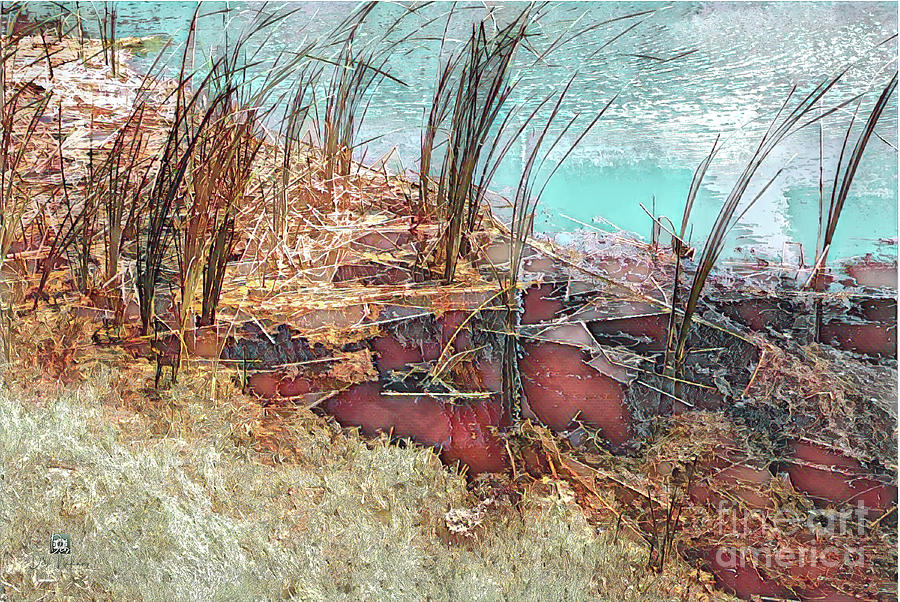 Red grass by the lake Digital Art by Deb Nakano