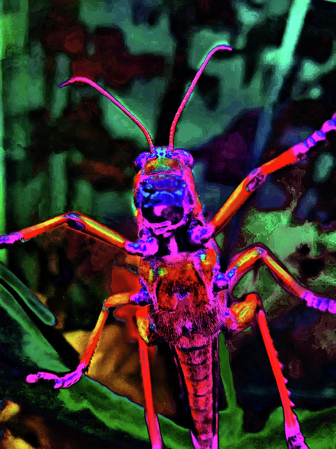 Red Grasshopper. Digital Art