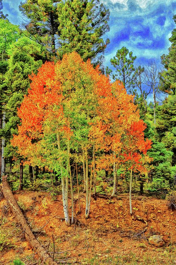 Red, Green, Orange, Yellow-Digital Art Photograph by Steve Templeton