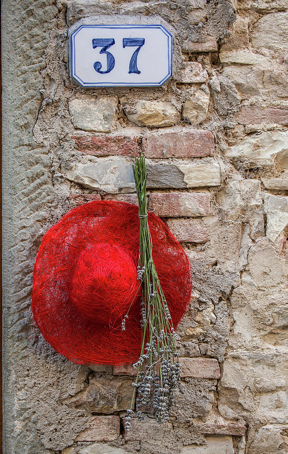 Red Hat of Tuscany Photograph by David Letts