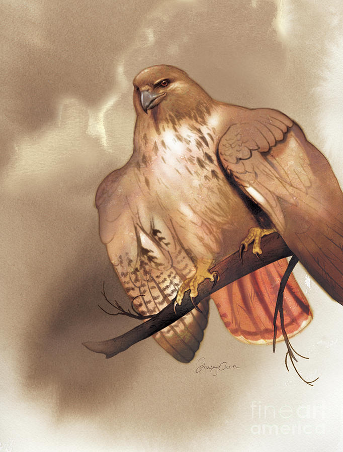 Red Hawk Painting by Tracy Herrmann