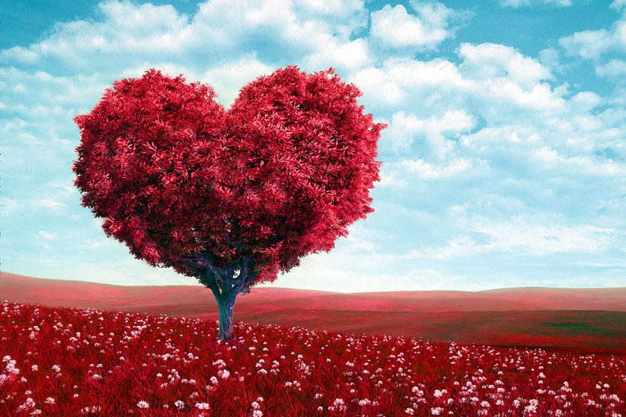 Flower Mixed Media - Red Heart Tree In Field by Sandi OReilly