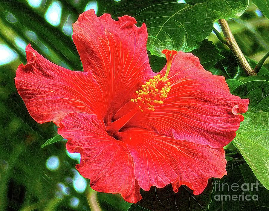 Red Hibiscus Flower Abstract Melting Effect Photograph by Rose Santuci-Sofranko