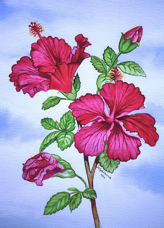 Flower Painting - Red Hibiscus Flower by Jelly Starnes