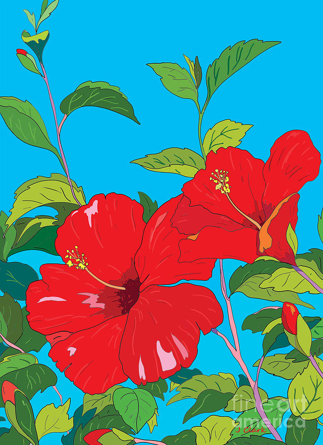 Red Hibiscus Digital Art