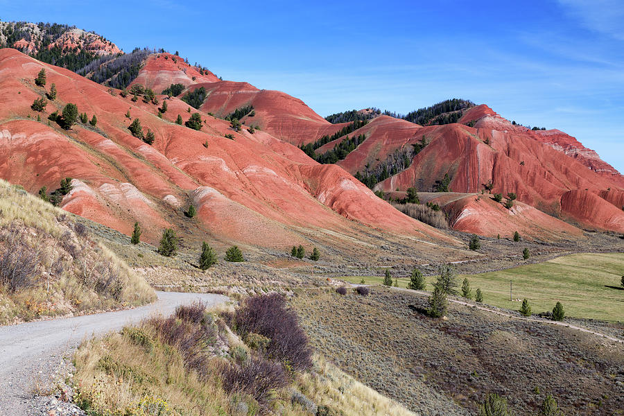 Red Hills of the Gros Ventre Photograph by Kathleen Bishop