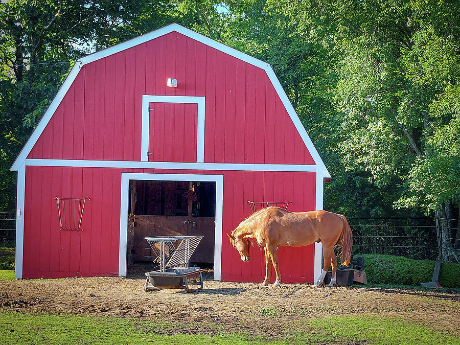 Red Horse Barn... Photograph by David Choate | Fine Art America