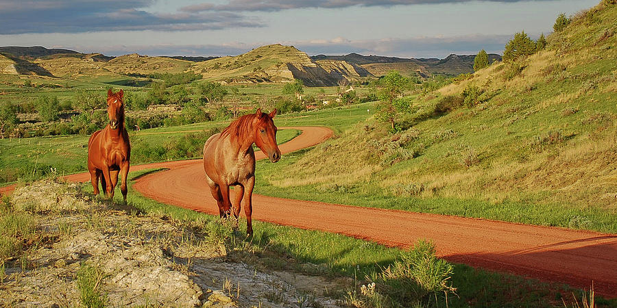 Red Horses on Red Roads in the Badlands Photograph by Mary Tastad Red Horses on Red Roads in the Badlands Photograph by Mary Tastad