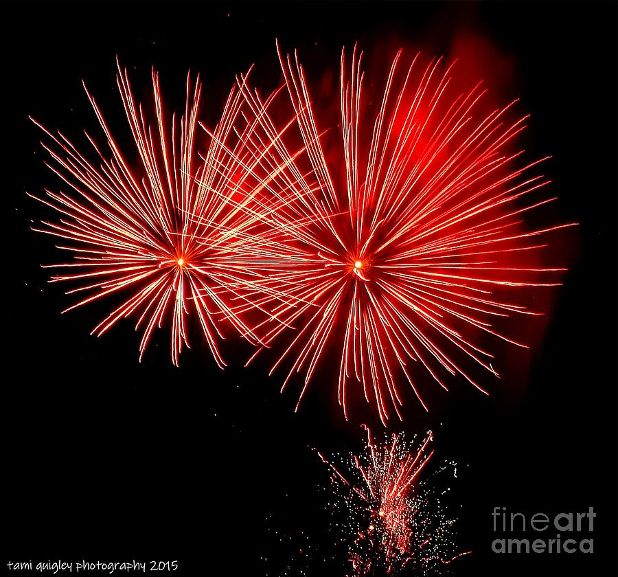 Independence Day Photograph - Red Hots by Tami Quigley