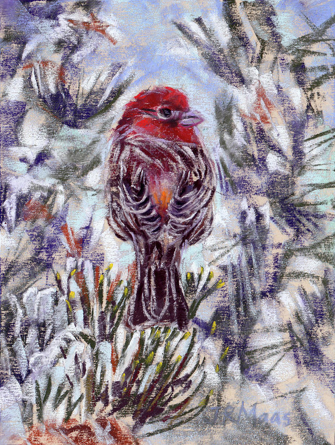 Red House Finch Painting by Julie Maas