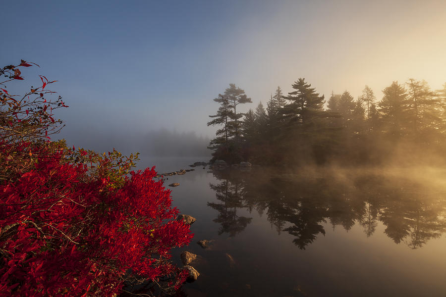 Red Huckleberry and Misty Island Photograph by Irwin Barrett
