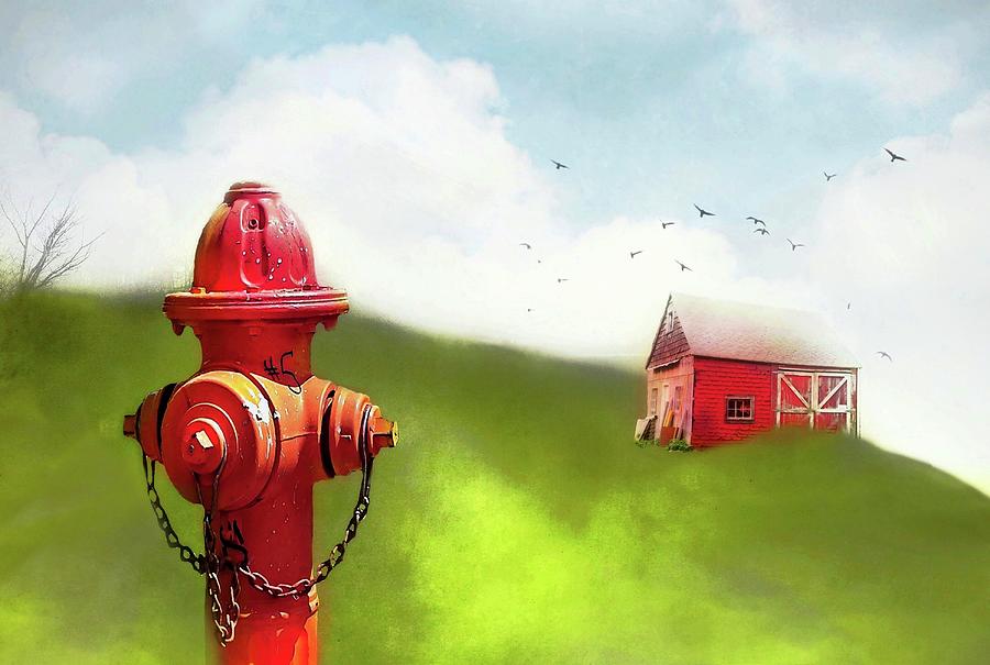Red Hydrant Photograph by Diana Angstadt