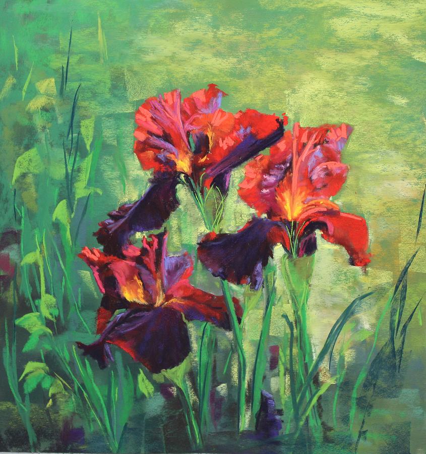 Red Irises Pastel by Renee Leopardi - Pixels